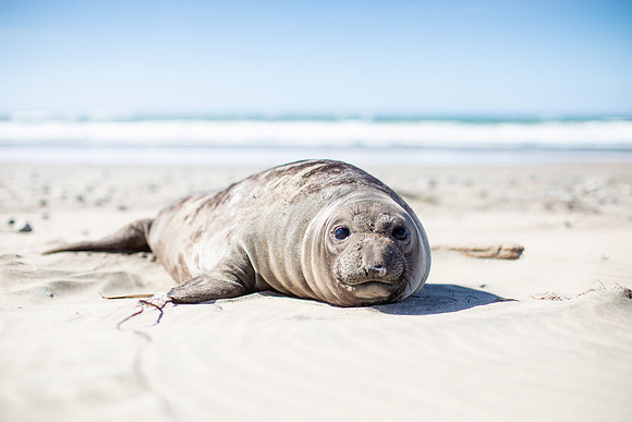 Santa Cruz, CA