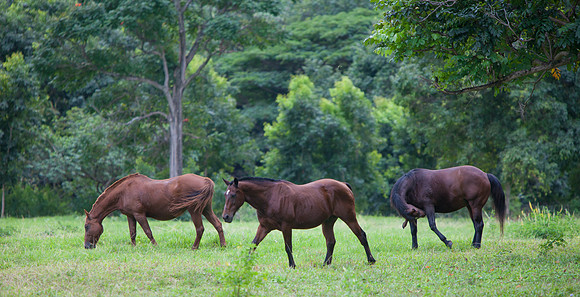 Kauai, Hawaii