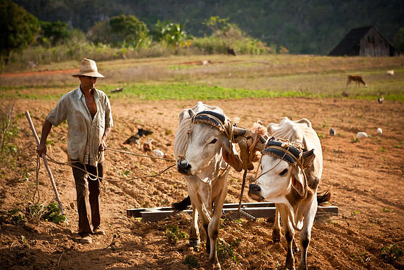 Pinar del Rio, Cuba
