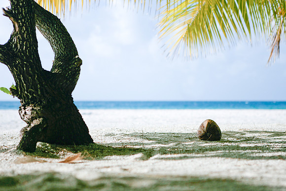 Tuamotu Atolls, French Polynesia