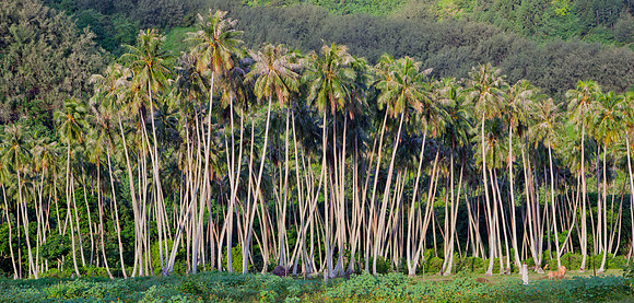 Society Islands, French Polynesia
