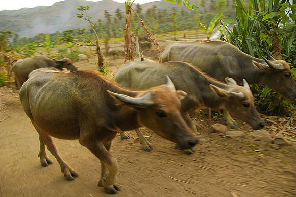 Lombok, Indonesia