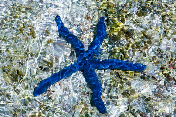 Micronesia