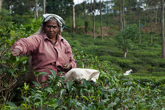 Ella, Sri Lanka